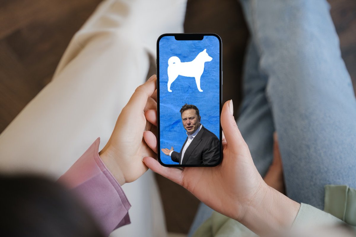 DOGGER - THE HOME OF CRYPTO tweet media