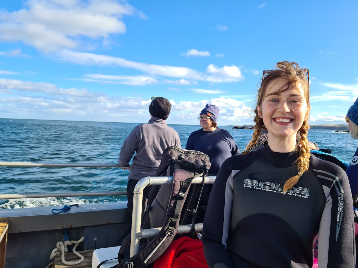 Dunking Dollys tweet media