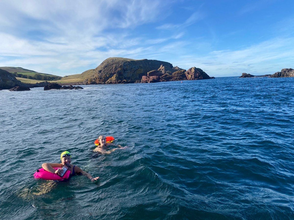 Dunking Dollys tweet media