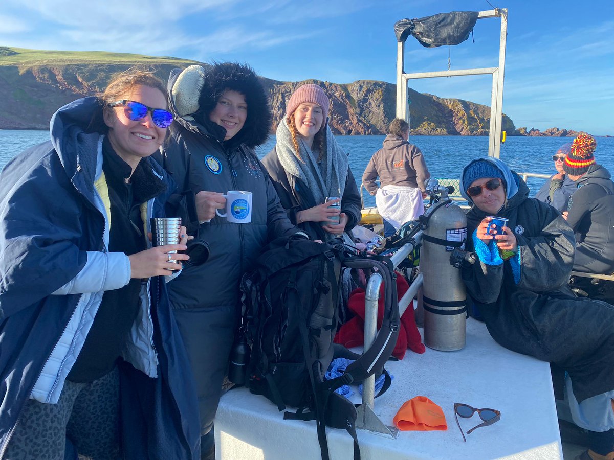 Dunking Dollys tweet media