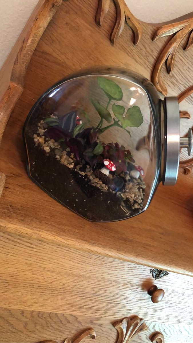 Many thanks to <a href="/QCBotanical/">QC Botanical Center</a> for a fun and educational terrarium building class! I can’t wait for whatever you host next! #QCThatsWhere