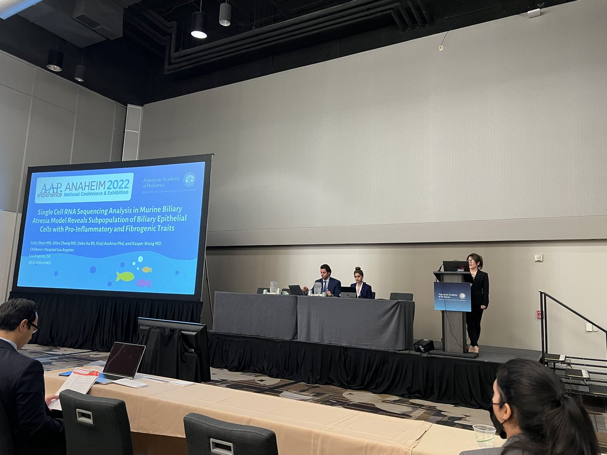 Kasper Wang tweet media