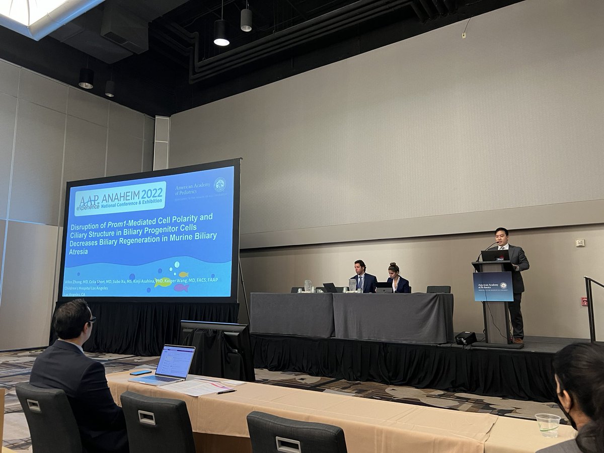 Kasper Wang tweet media