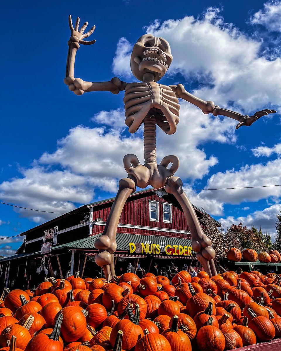 taylor-joan-carlson-on-twitter-the-annual-visit-to-the-great-pumpkin