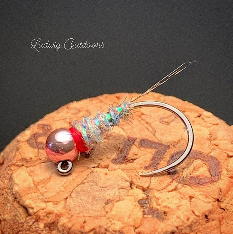 SnowbeeUSA's tweet photo. Sweet Nymph, I know a few runs I would love to bounce this through
@fly_tying_with_ludwig
Rainbow Walt’s worm 🌈
.
.
.
#troutlegendstore #whitingfarms #whitingfarmshackle #waltsworm #jigflies #euronymphing #tightlinenymphing #tungstenfly https://t.co/HRqQBiylGr