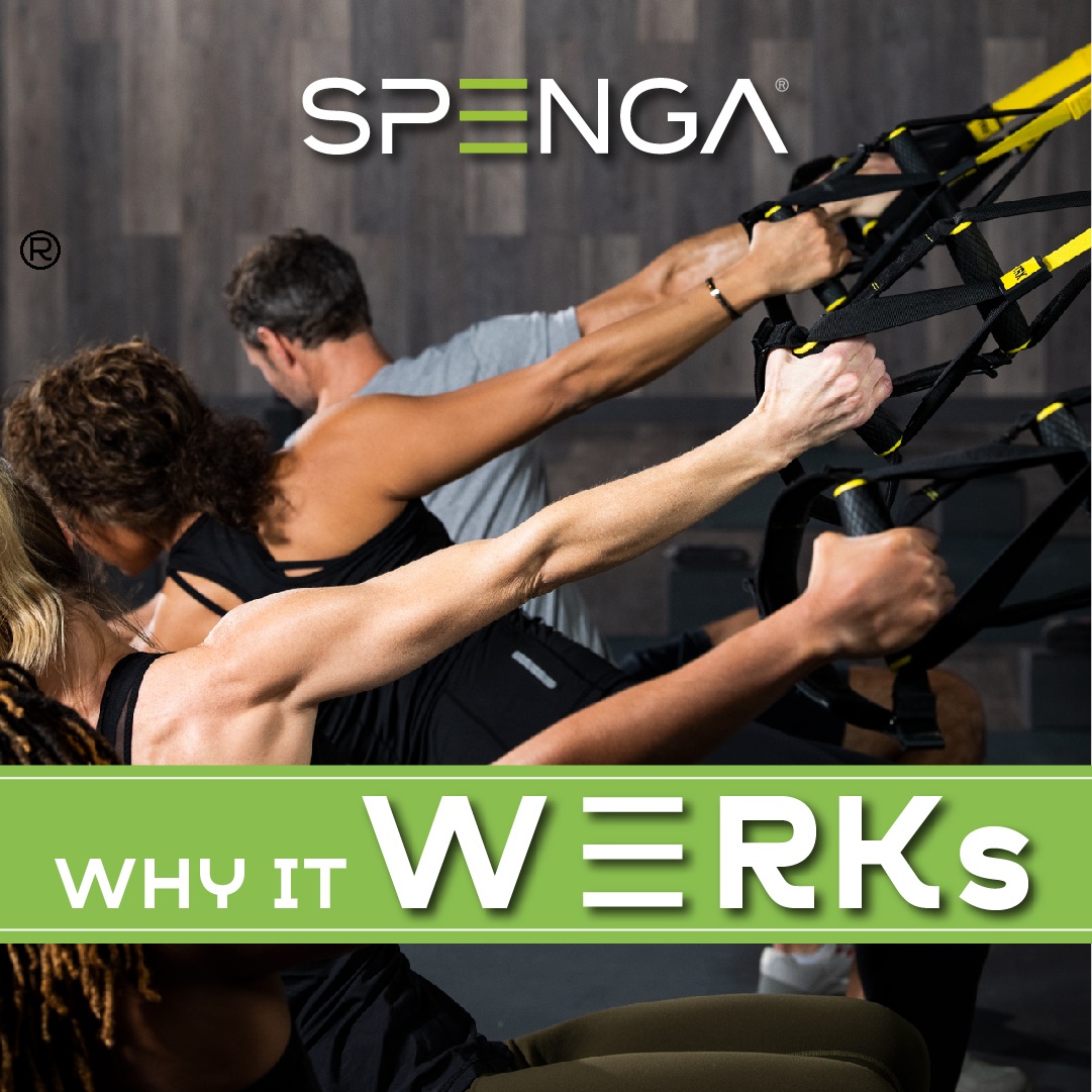 spengaabq's tweet image. There are a lot of different ways that SPENGA's revolutionary format helps you #WERK smarter, not harder! When you #WERKOUT with us, you'll get an endorphin release that will not only make you feel great, but also help you realize that you can accomplish anything! 💪

#spenga...