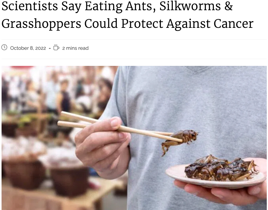 昆虫は癌を発見できるのでしょうか？テストが始まりました！