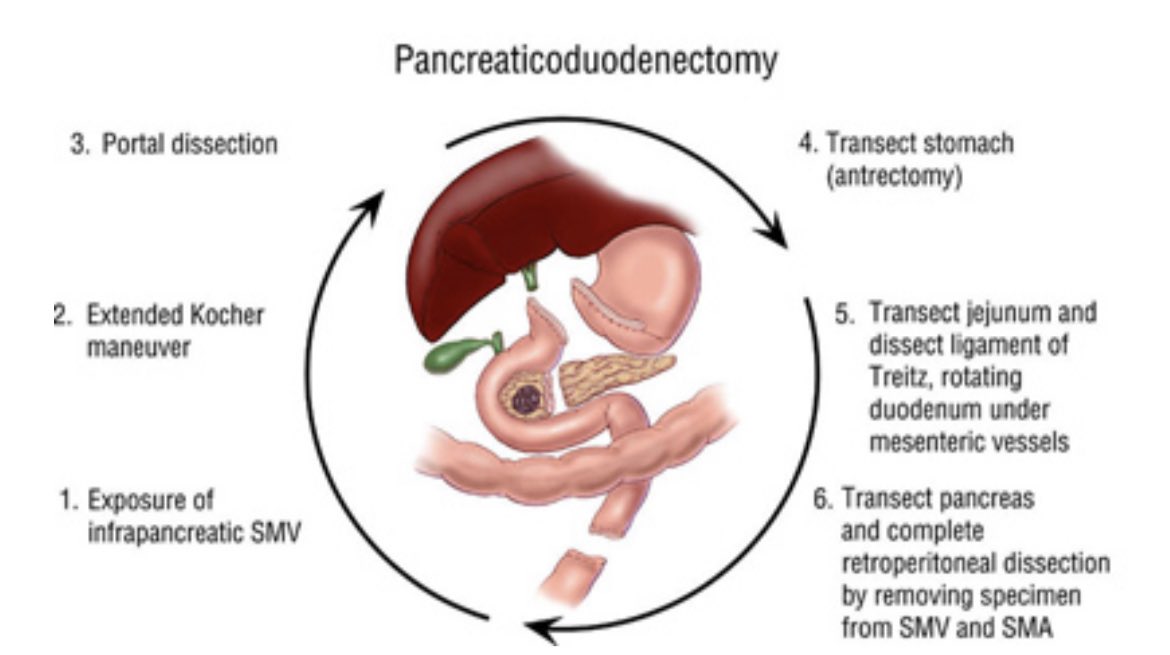 Syed A. Ahmad tweet media