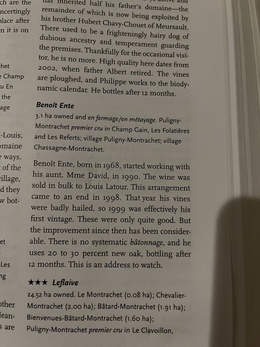 Austrian Wine tweet media