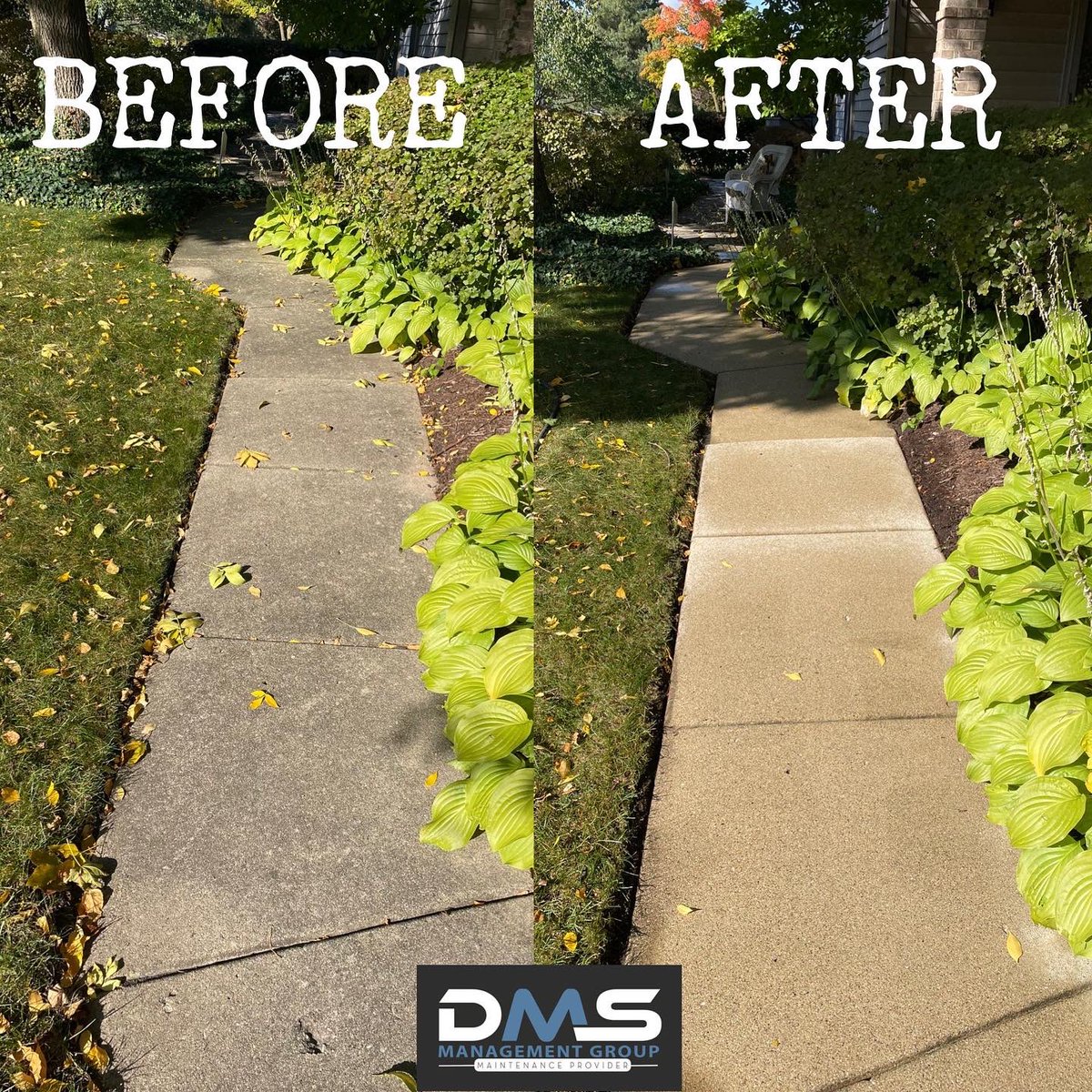 TheDMSGroup1's tweet photo. We came, We saw, We cleaned at the Bloomfield Club🤘🏼🤘🏼🤘🏼

#pressurewashing #powerwashing #cleaning #windowcleaning #clean #dirtyjobs #guttercleaning #dirty #cleaningservice #industrial #pressurecleaning #commercialcleaning #smallbusiness #housecleaning #beforeandafter #clean https://t.co/61d9iQ7Zzm
