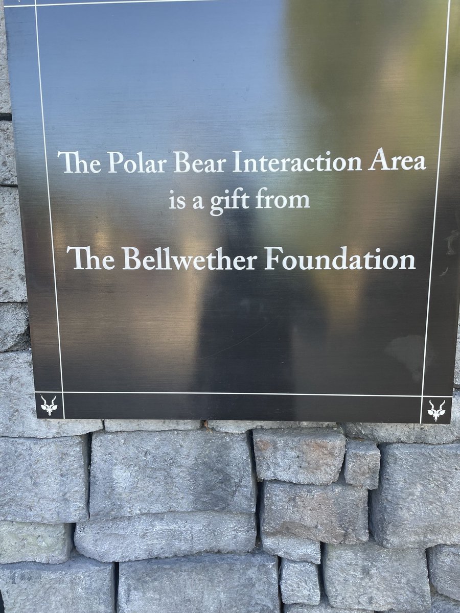 Eli (@eli_chasingscr) on Twitter photo Even the Bellweather Foundation knows these bears are a joke. That’s why they are gifting them to families all across the country <a href="/chasingscratch0/">Chasing Scratch Podcast</a> Even the Bellweather Foundation knows these bears are a joke. That’s why they are gifting them to families all across the country <a href="/chasingscratch0/">Chasing Scratch Podcast</a>
