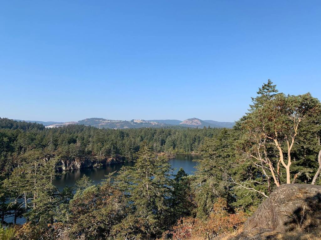 muddylaces's tweet image. What an amazing _summer_ walk @rusty.the.dog.yyj and I had at Thetis today. It was nice out but the trails are in a terrible state. Very dry and dusty. Hoping for some rain soon to help out the environment. instagr.am/p/Cjd5hqPPl8Z/