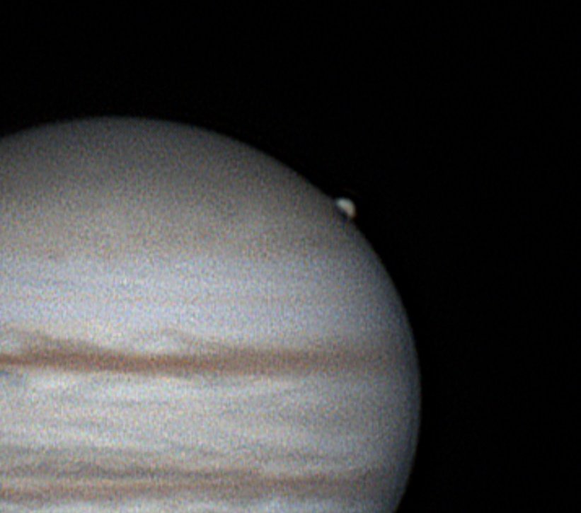 David Ávila tweet media