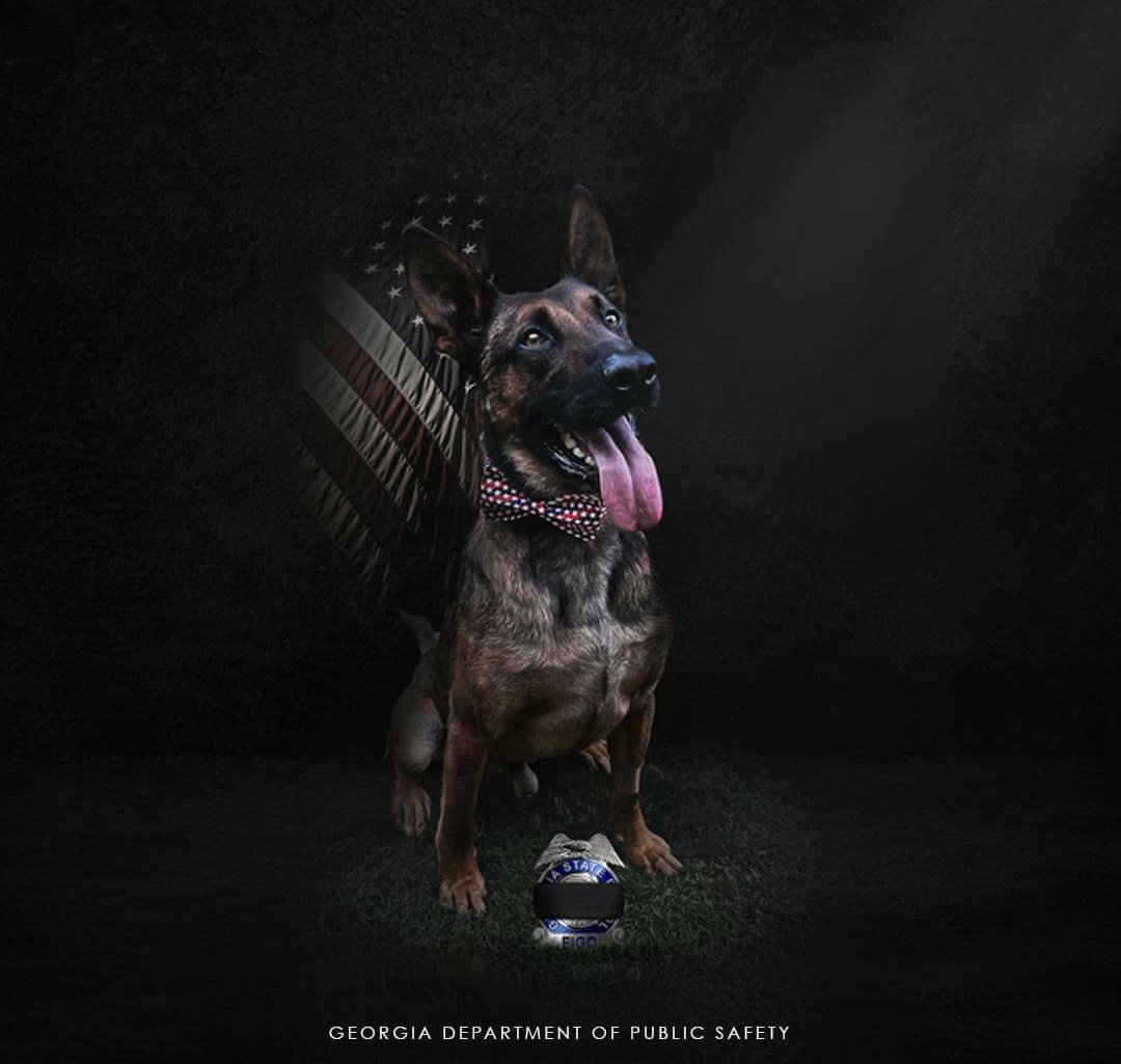 K9 Figo did not survive his wounds yesterday. Our thoughts and prayers are with his handler and the Georgia State Police. Rest Easy Hero 🇺🇸