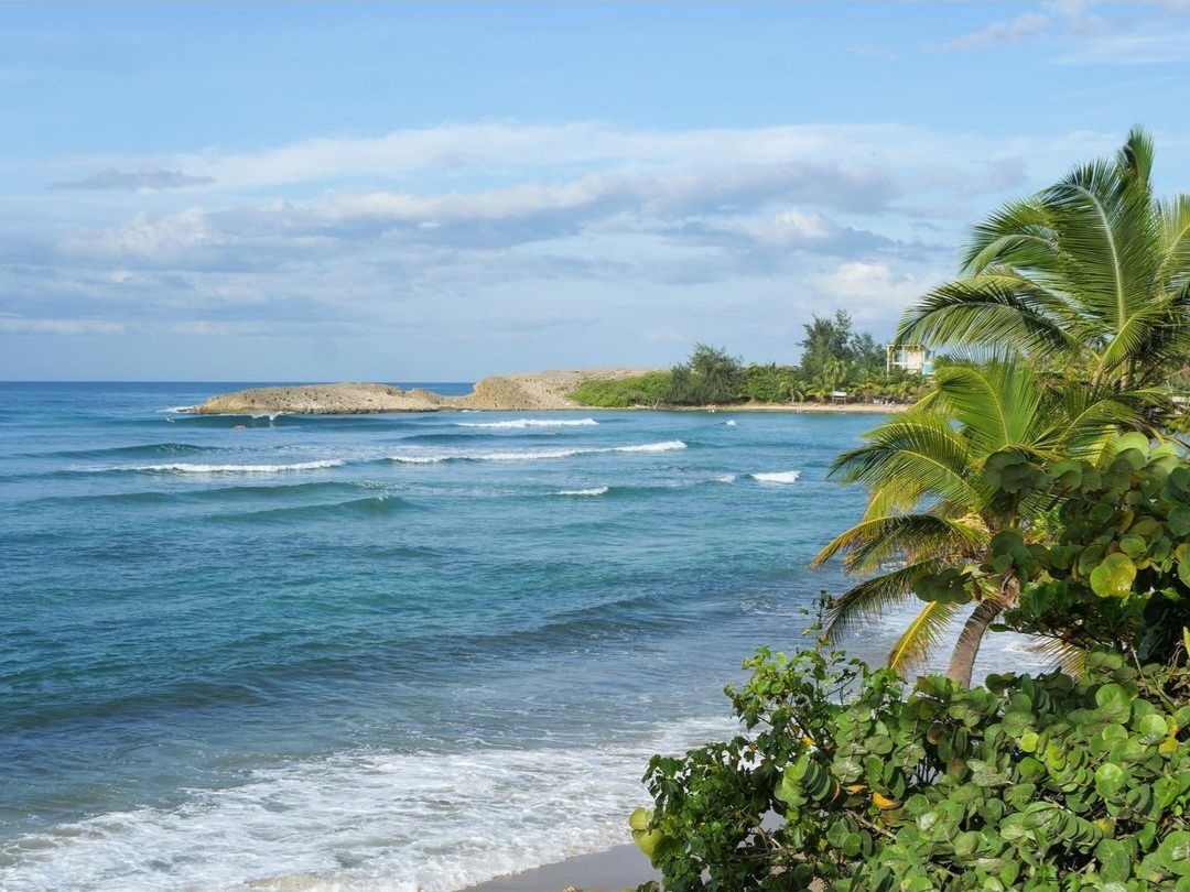 migueldeynes's tweet photo. Saturday Morning
#Saturday #Morning
#Jobos #Beach #JobosBeach
#PlayaJobos #Playa #Montones #MontonesBeach
Isabela, Puerto Rico
🇵🇷#PuertoRico🇵🇷
Saturday M☀️rn🌴ng https://t.co/DbGsk3Yikw