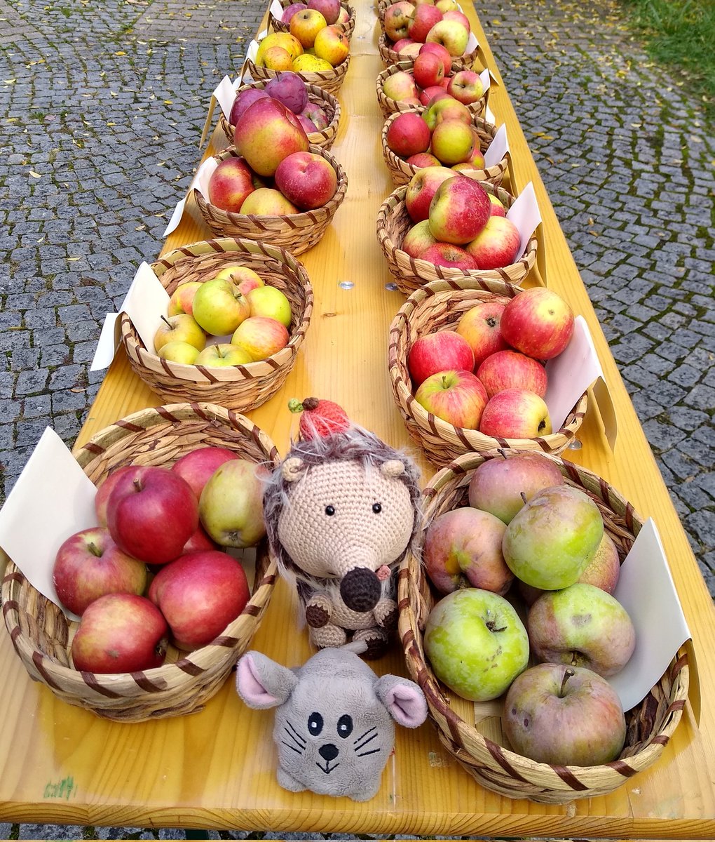 The Mouse and the me 😁 have been today at the apple and pear exhibition in the Botanical Garden. 🍎🍐 🥰 It was soooooooo nice. 🦔🤗🐭 Look at all of those different apple varieties!!! I wonder which apple variety I carry around on my head. 🤭