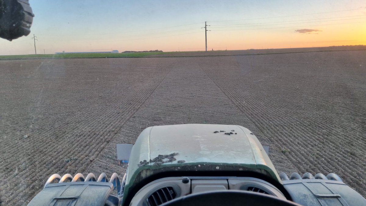 Deuxième vague pour les orges ! Après desherbages des semis precoces