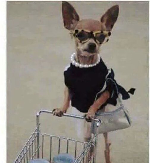 Cutiepixel42's tweet photo. Ur daddy don carry me out for shopping 🛍 , make ur mum forget the money he promise her , ur own school fee sef no sure .. Cus I even bought something for my baby too 😂😂, he still dey owe dem money like this 😂 https://t.co/HWi2gyCdHJ