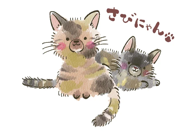 サビの毛玉 