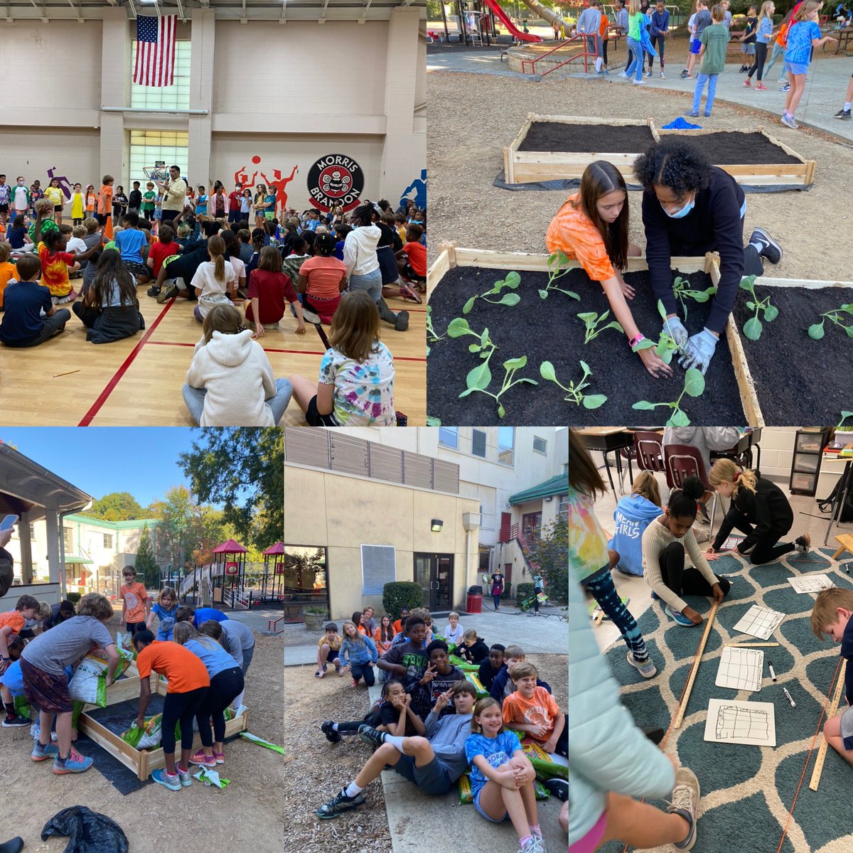 susan rinkowski tweet media