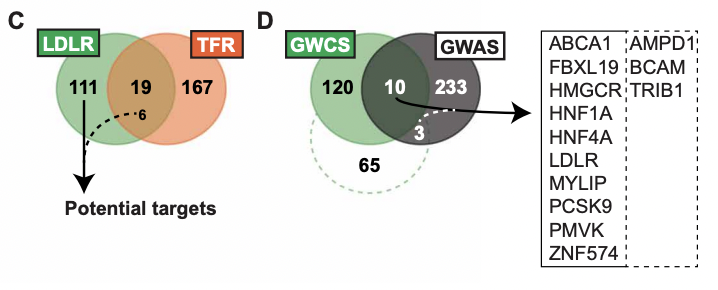 Dr_RajatGupta's tweet photo. Loved this paper from @JChorba @gsmithMDPHD @pnatarajanmd. Such a well written example of a CRISPRi screen, with careful validation of the positive hits. Candidate genes are prioritized based on specificity and GWAS overlap. 

https://t.co/pNcLY6b2hY https://t.co/9Gf5PmpkBI