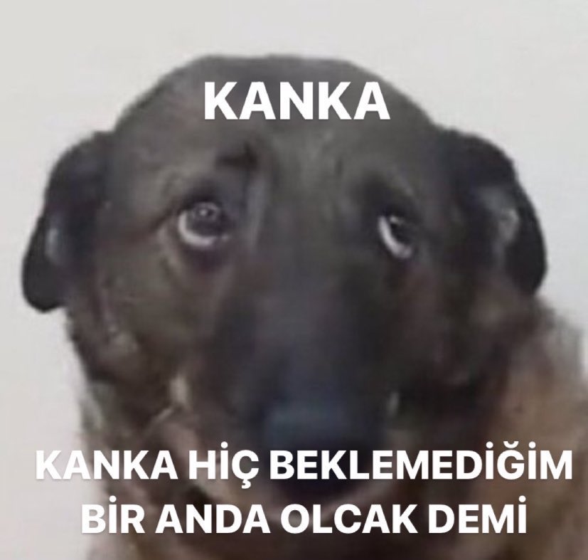 merve (@mervebebis) on Twitter photo 