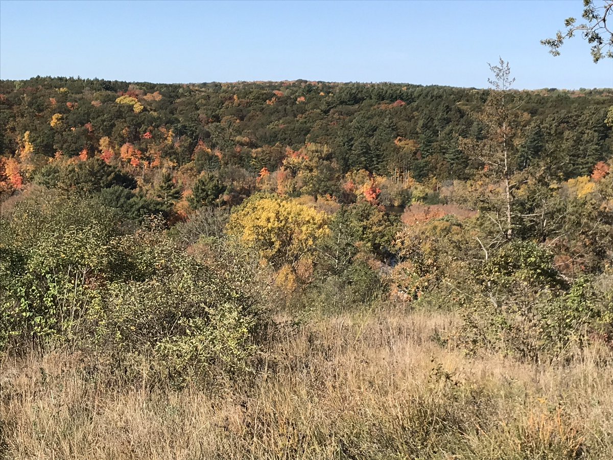 Beautiful morning for a quick hike along the #IceAgeTrail and a QRP #POTA activation!