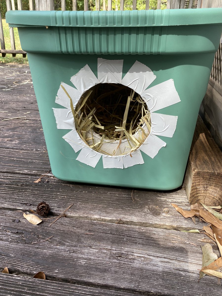 peachandcats's tweet image. Today, We made Winter Cat Houses for the Outdoor Kitties My mother donated 2 plastic containers My husband &amp;amp; I bought 2 styrofoam coolers We had already bought straw last yr My brother cut the hole in the plastic containers My husband cut the holes in the coolers Here they are 👇🏻