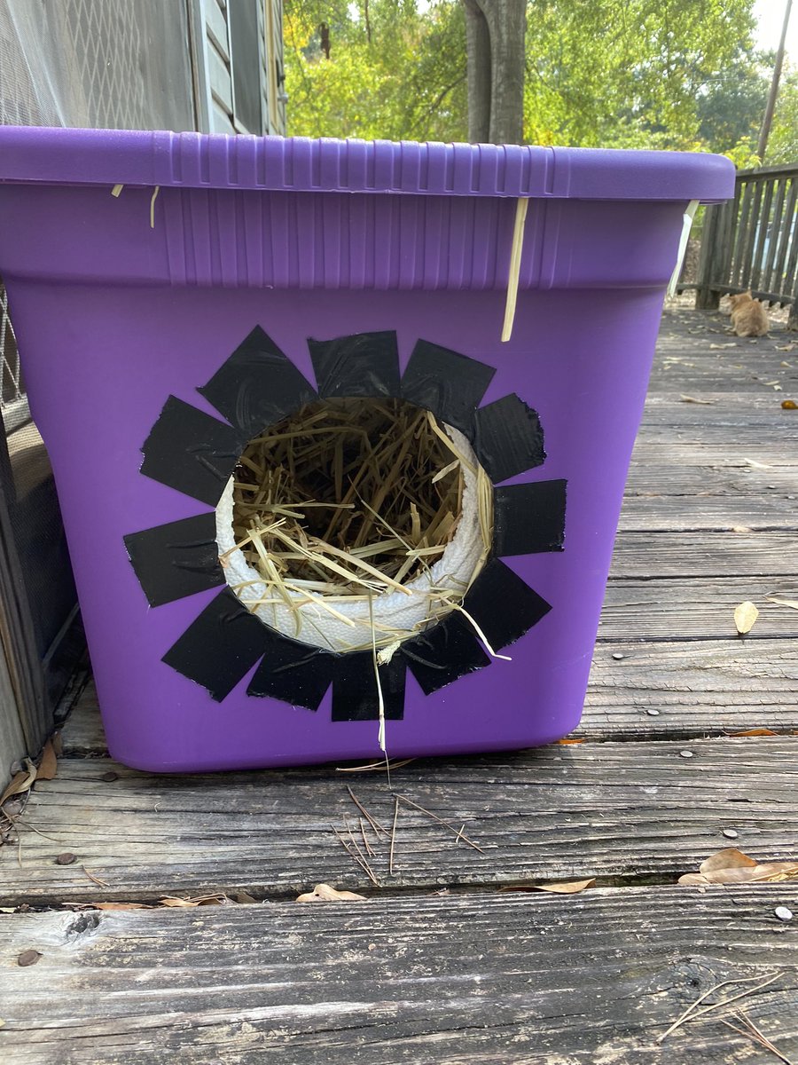 peachandcats's tweet image. Today, We made Winter Cat Houses for the Outdoor Kitties My mother donated 2 plastic containers My husband &amp;amp; I bought 2 styrofoam coolers We had already bought straw last yr My brother cut the hole in the plastic containers My husband cut the holes in the coolers Here they are 👇🏻