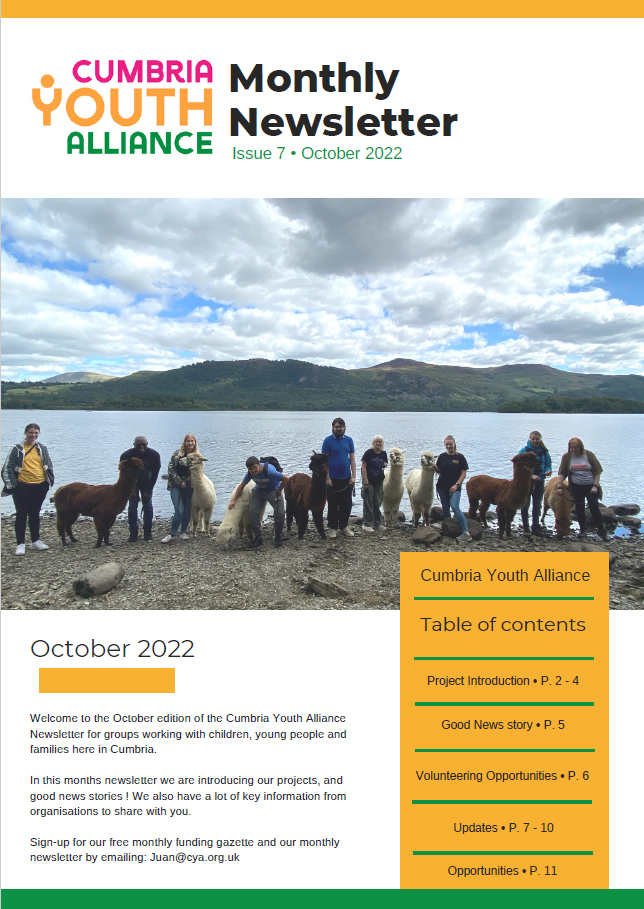 Cumbria Youth Alliance October Newsletter - mailchi.mp/598aa0bff4b0/c…