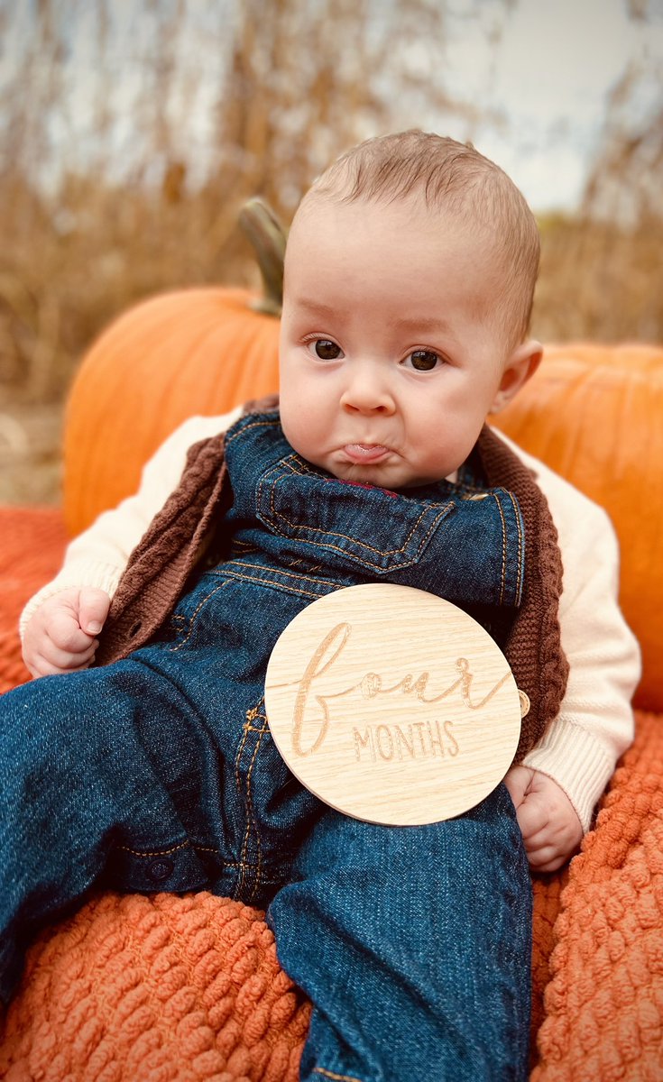 ml_webster's tweet photo. My little best friend🥺🤍 https://t.co/W3OLLteToY