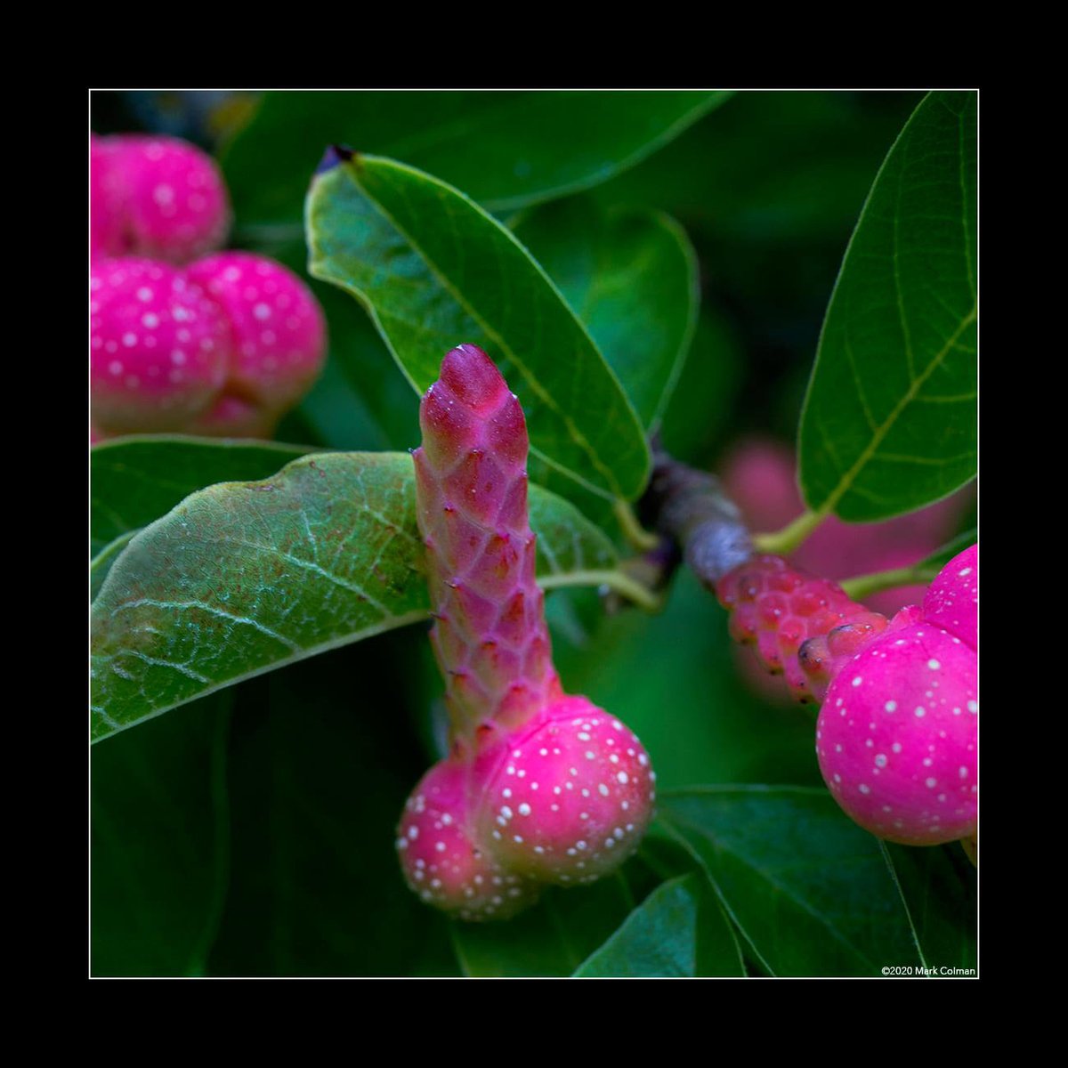 Kram's tweet image. First tweet in ages. Anyone know me?