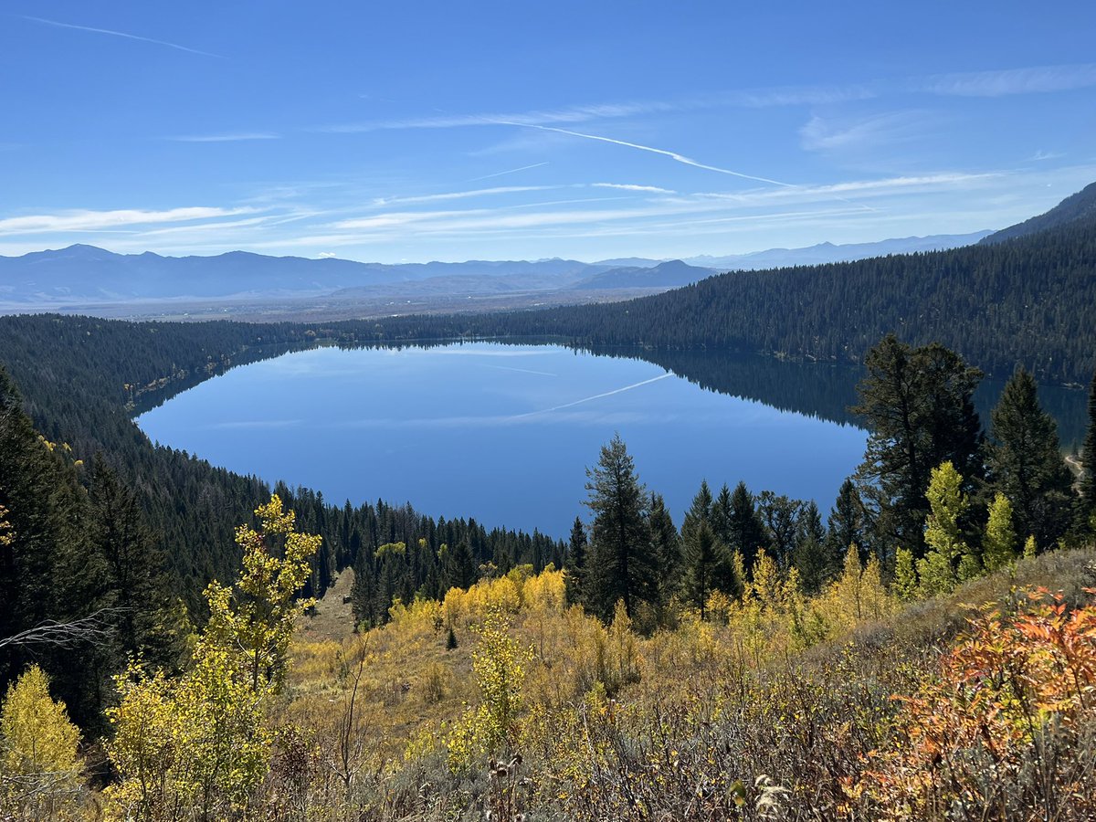 Angie Fagerlin tweet media