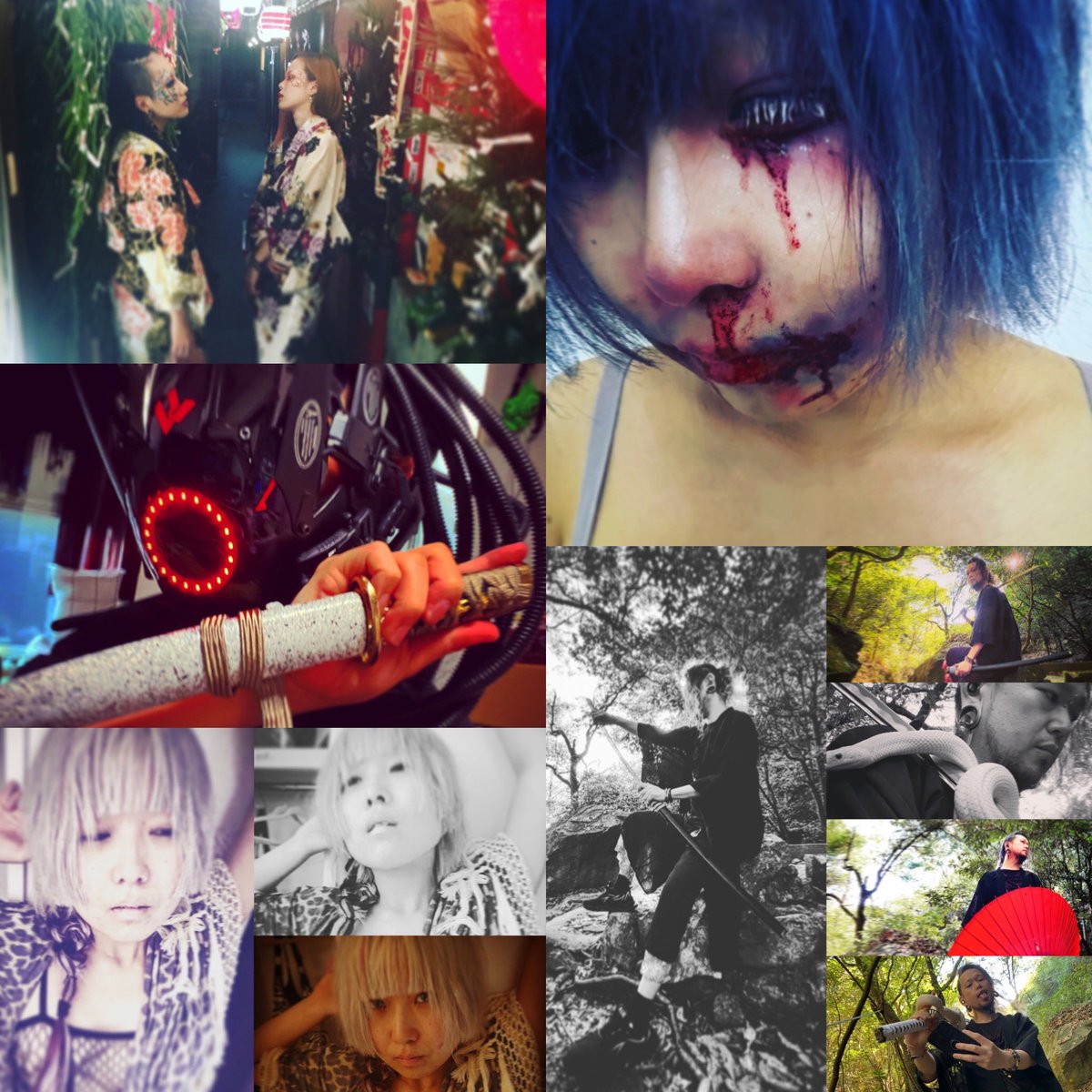 参眼の梟🦉-ukoku- tweet media