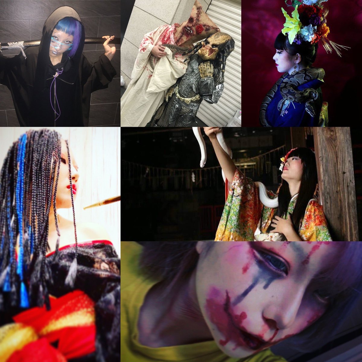 参眼の梟🦉-ukoku- tweet media