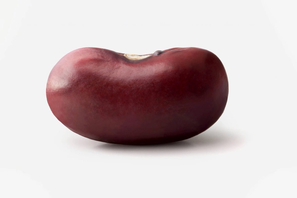 DangerRev's tweet image. 