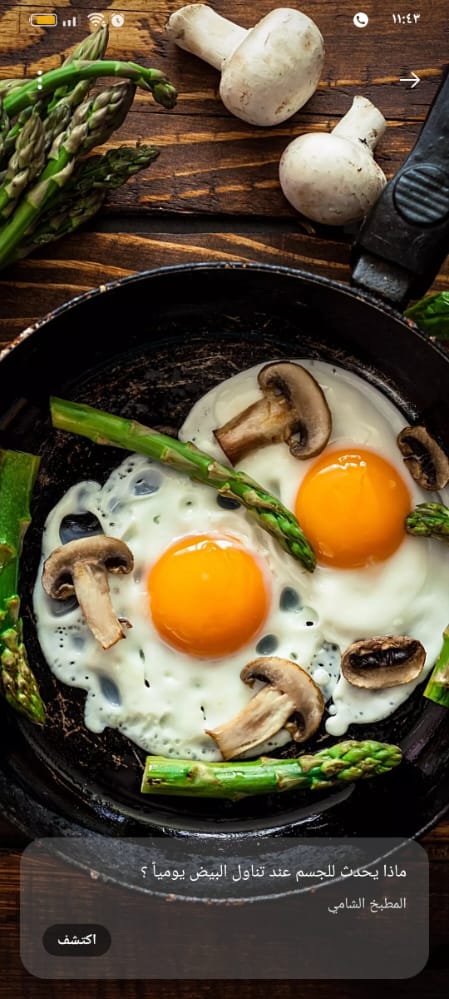 ست البيت Rania tweet media