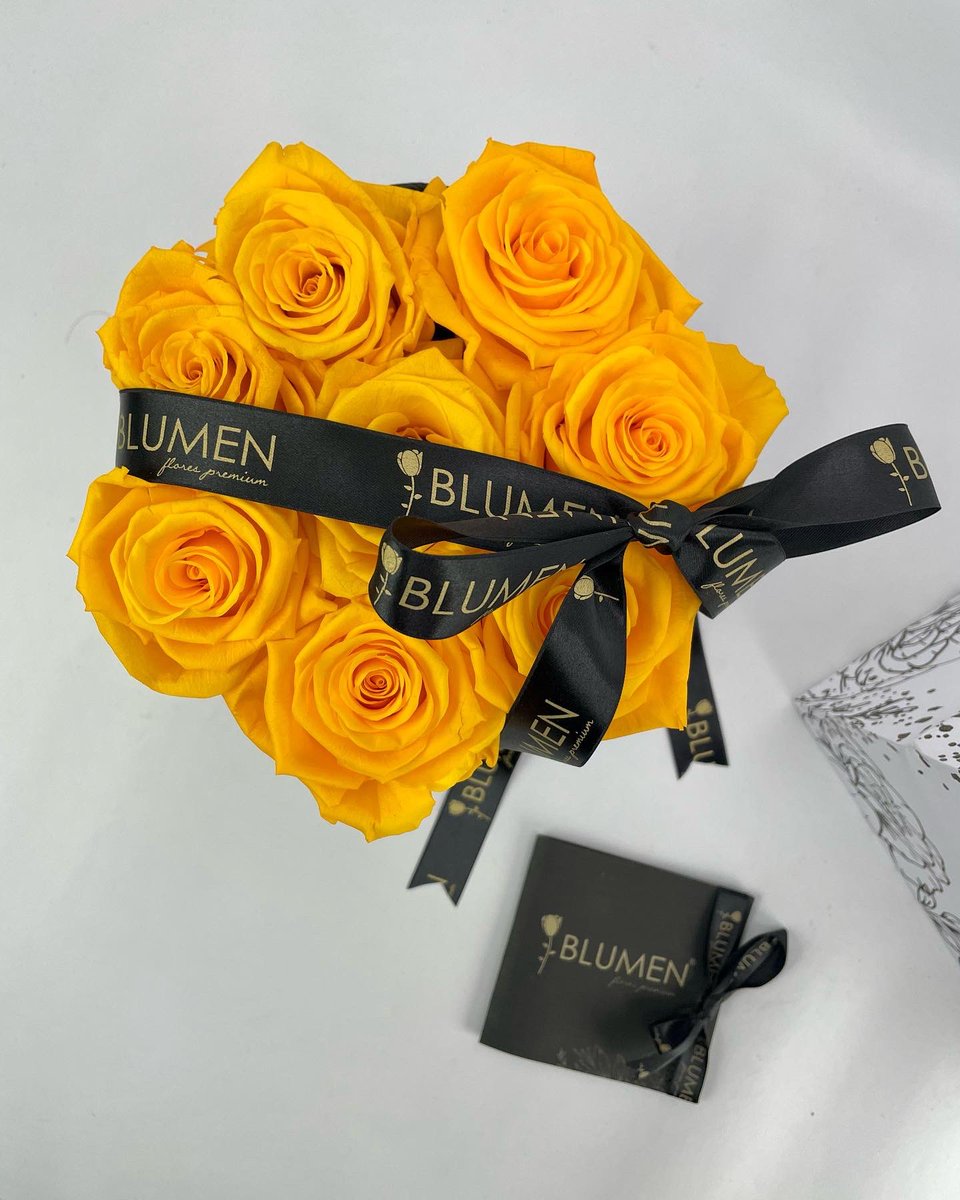blumenecuador's tweet photo. #Ecuador #flores #floreseternas #rosaspreservadas #regalos #arreglosflorales https://t.co/sAAmbfHvk6