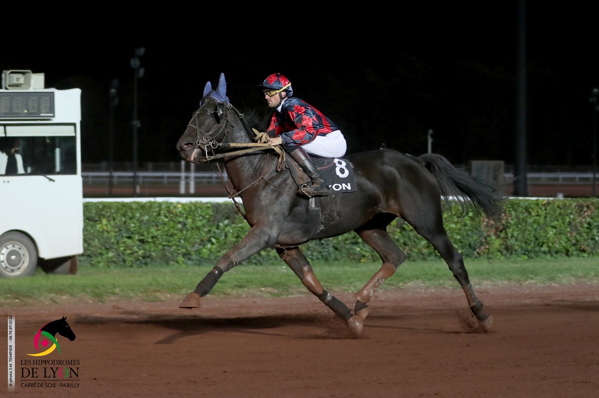 EcurieGriff's tweet photo. L'élevage de nouveau à l'honneur à @LyonHippodromes !

Ce mercredi soir, Halma Griff s'est imposée de belle manière et signe ainsi son troisième succès de l'année.

🧤 F.Desmigneux
🧢 @EcurieLLerenard 
🎩 @CafaroMathieu / @EricVDA / @EcurieLLerenard https://t.co/Xq073FXeKn