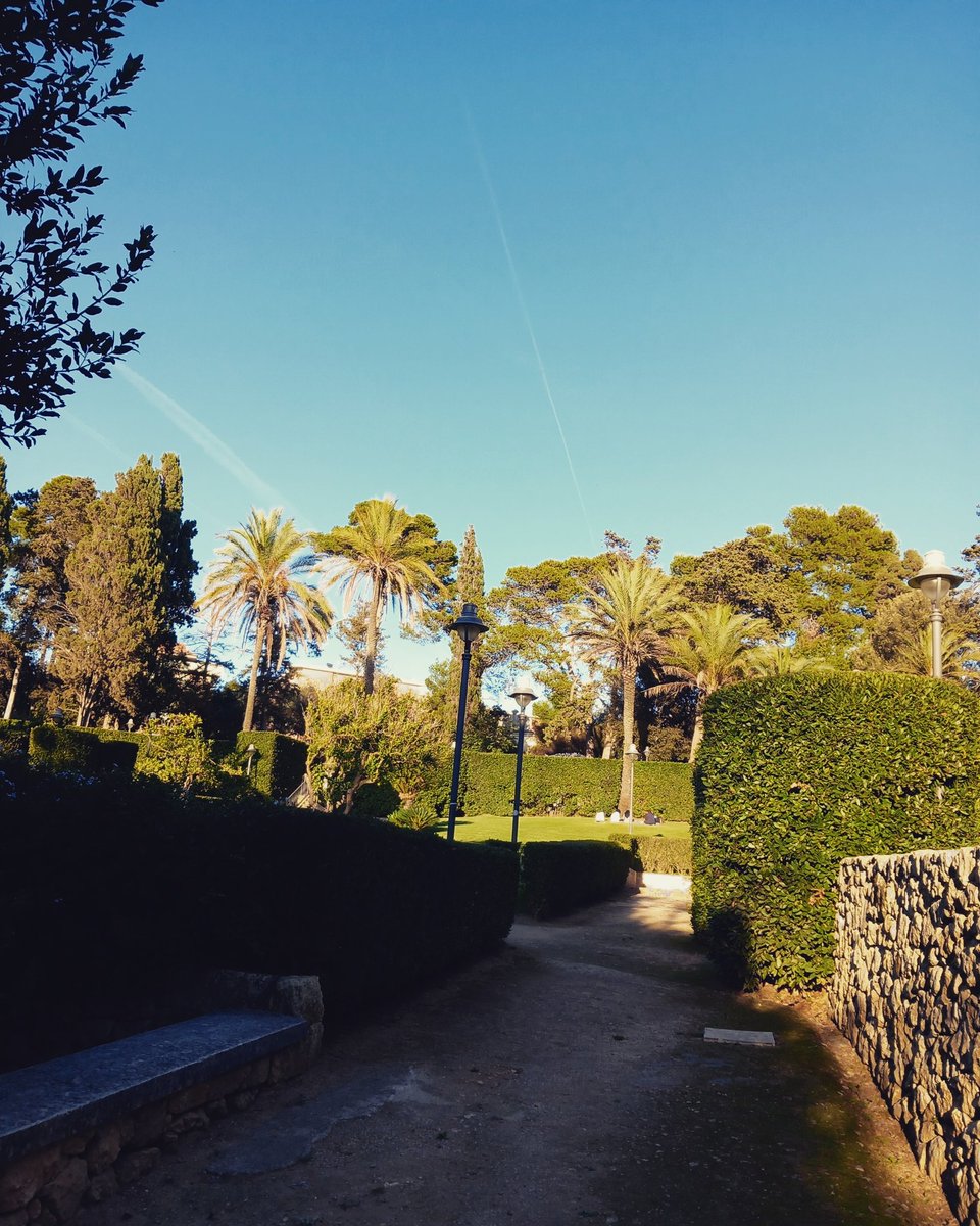 Io_Francis's tweet photo. #parcodimonserrato #sassari https://t.co/BunCZaemyZ