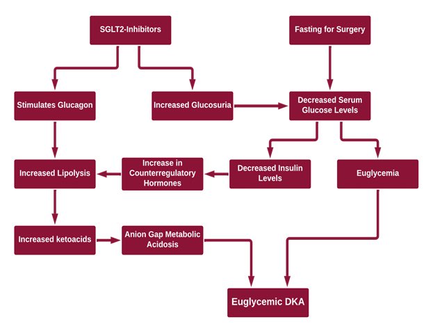 Bartosz Hudzik MD PhD FESC FACC (@bartoszhudzik) on Twitter photo #CV teams should be aware of recent #FDA warnings for ⬆️ incidence of euglycemic diabetic #ketoacidosis when #SGLT2i are continued prior to non-cardiac #surgery 👉 bit.ly/3ys3QZU #MedEd #CardioEd <a href="/salonikumarmd/">Saloni Kumar Maharaj</a> <a href="/cardskrish/">Ashok Krishnaswami</a> <a href="/kaulcsmc/">Sanjay Kaul</a> <a href="/DrMarthaGulati/">Dr. Martha Gulati ♥️🫀❤️🩹🇨🇦</a> <a href="/HeartOTXHeartMD/">John P Erwin III MD MBA MACC (#BigPoppy )</a> #CV teams should be aware of recent #FDA warnings for ⬆️ incidence of euglycemic diabetic #ketoacidosis when #SGLT2i are continued prior to non-cardiac #surgery 👉 bit.ly/3ys3QZU #MedEd #CardioEd <a href="/salonikumarmd/">Saloni Kumar Maharaj</a> <a href="/cardskrish/">Ashok Krishnaswami</a> <a href="/kaulcsmc/">Sanjay Kaul</a> <a href="/DrMarthaGulati/">Dr. Martha Gulati ♥️🫀❤️🩹🇨🇦</a> <a href="/HeartOTXHeartMD/">John P Erwin III MD MBA MACC (#BigPoppy )</a>