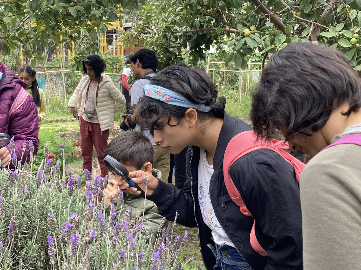 Cultiva Ciudad tweet media