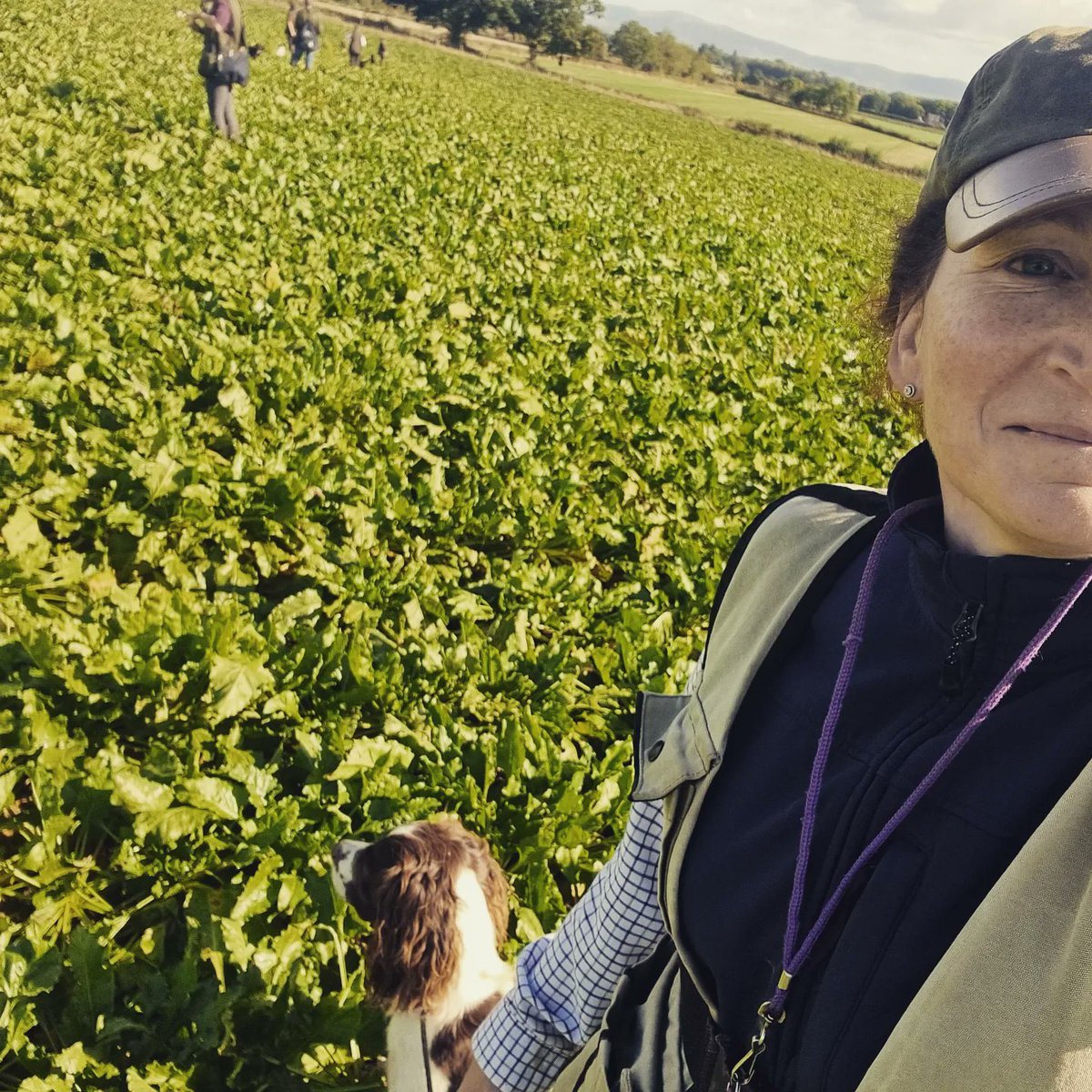 Fab training day in the sun today. #spanielpicoftheday