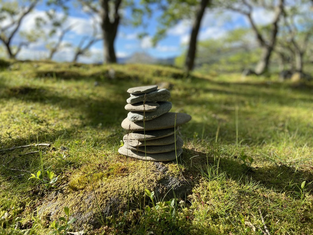 Vicky Stobbart tweet media