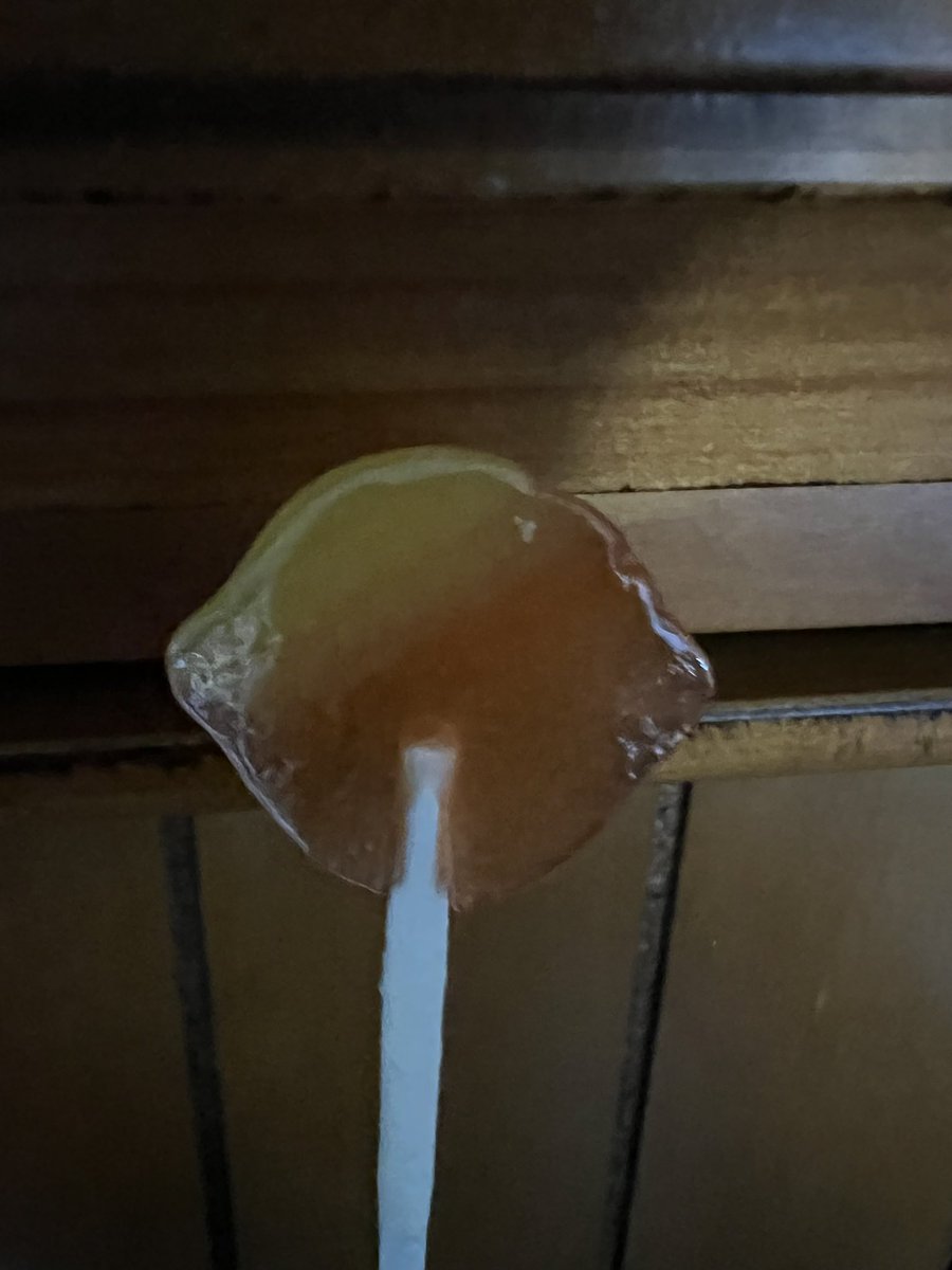 Why my lollipop look like Donald tump 😂😂😂