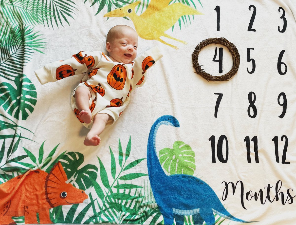 CheyairB's tweet photo. My ginger baby is 4 months old 🎃 https://t.co/J6mOxJd6BS