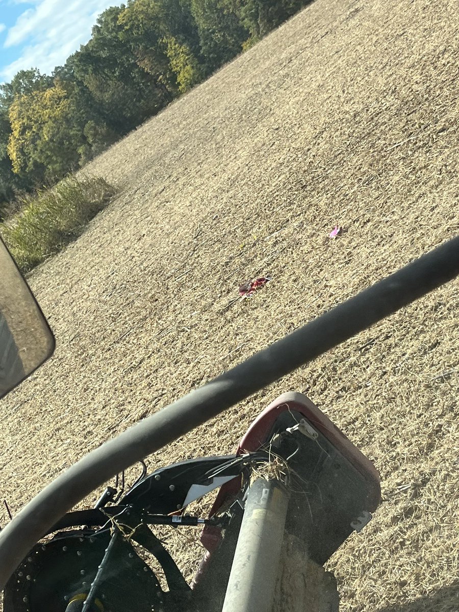 idontknowfarmer's tweet photo. @BenjaminNething https://t.co/qnpu9wvw85