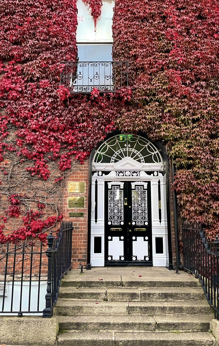 MartinFennelly's tweet photo. The Boston Ivy is in terrific colour on Fitzwilliam Square this evening. Autumn in Dublin’s old Georgian Core. #dublin #fitzwilliamsquare #autumnvibes🍁 #autumn https://t.co/JQa9bBGHLe