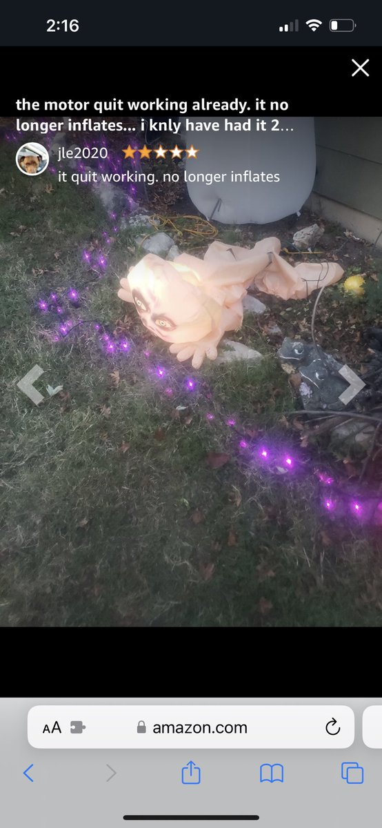 turntberg's tweet photo. cursed https://t.co/9sVcFbswUs