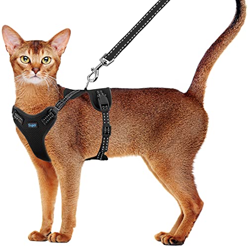 📣 We are back!🐈 Enjoy this nice cat harness and leash set escape-proof 🐈‍⬛
✅ Soft &amp; Comfortable Design
✅ Escape Proof Cat Vest Harness
✅ Easy Control Cat Safety Harness 😻
Find it here 👉 buff.ly/3rvNSua 🥇
#CatsOfTwitter